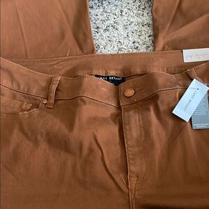 Lane Bryant Burnt Orange or Even Copper color brand new pants.